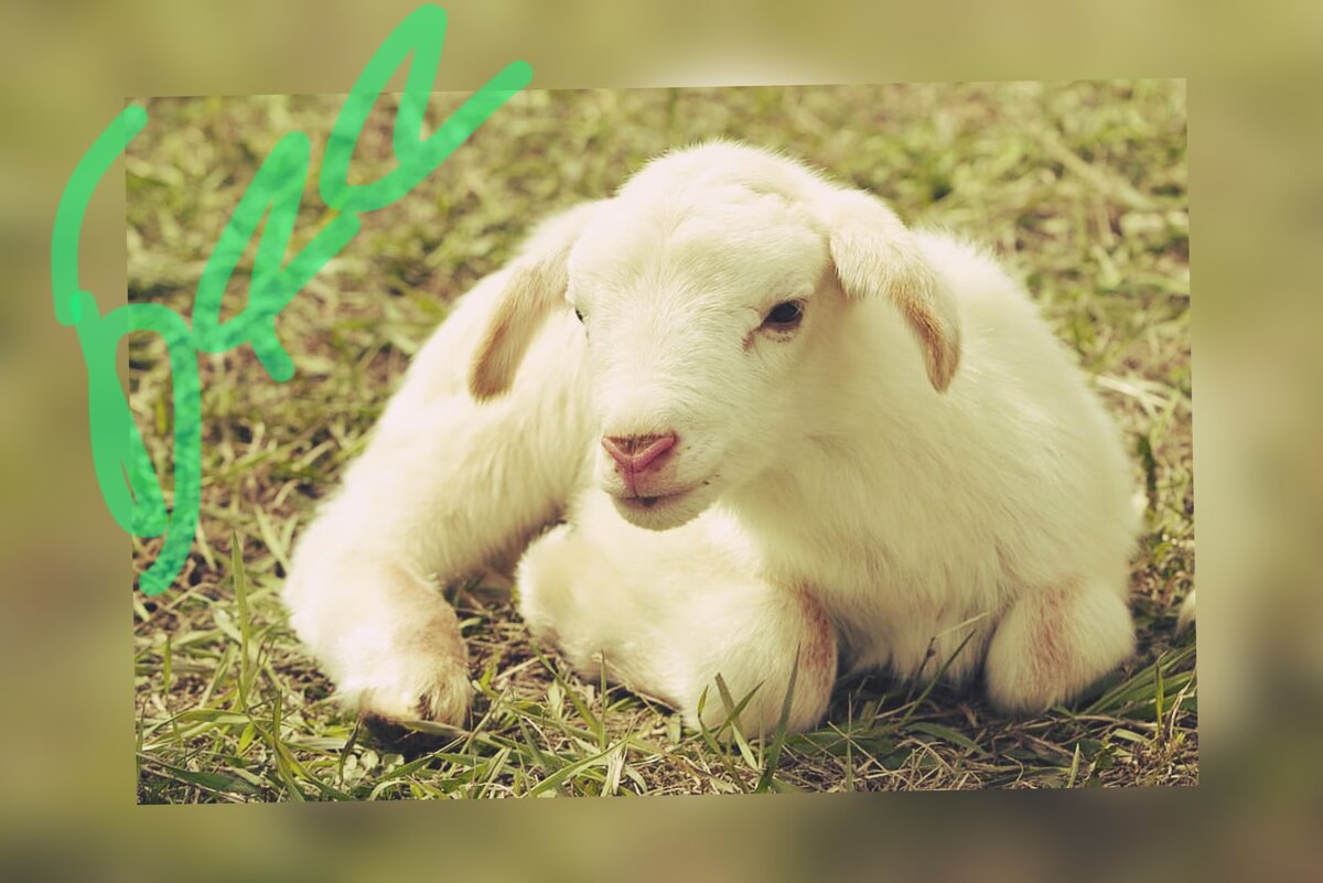 Сидел в отдалении и молчал