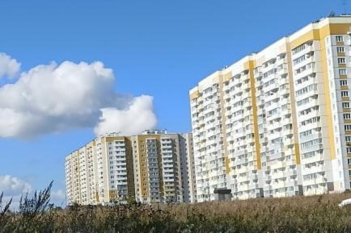    В микрорайоне Солнечный Красноярска из окна выкинули кошку, она погибла