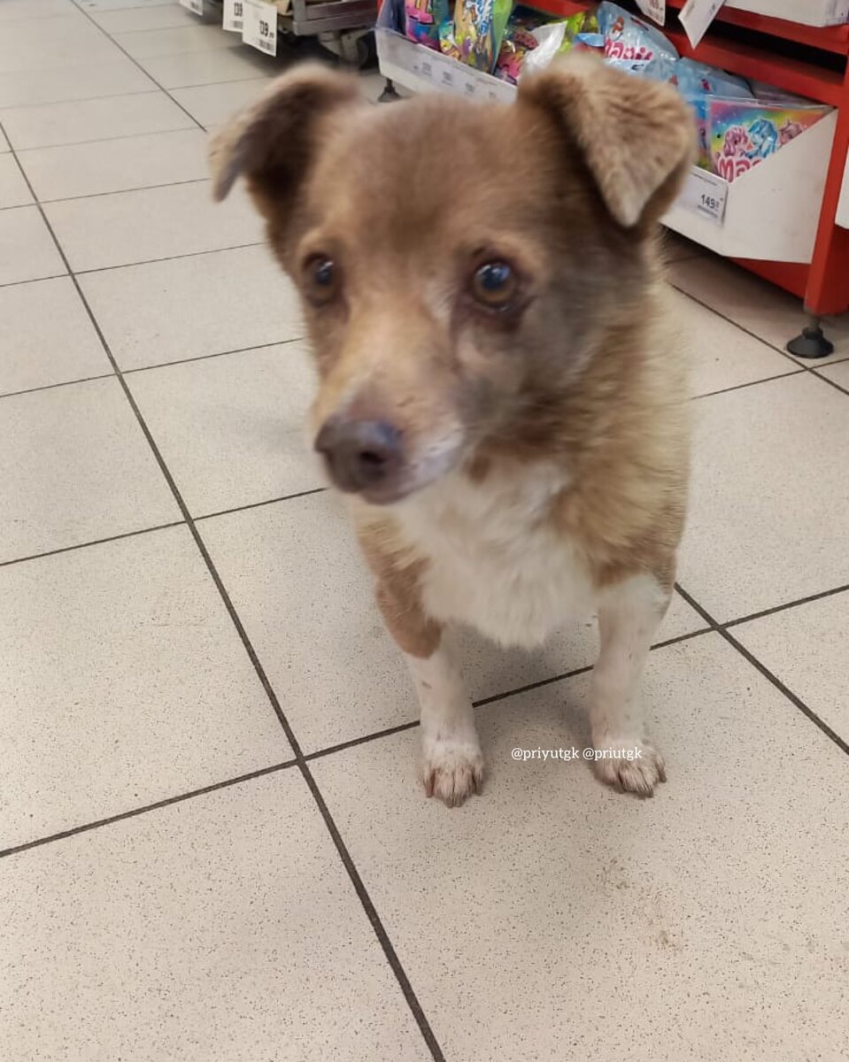 Beyond nose to tail. Nose to tail. Кусок мяса 2 д. Бюджет сита самолеты. Кусок мяса 2 д.