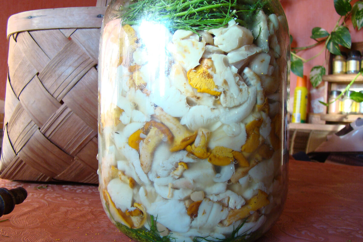 Любимый вид соленых грибов - летние сыроежки, лисички только для украшения и обьема, они не так вкусны в солении, как сыроежки.