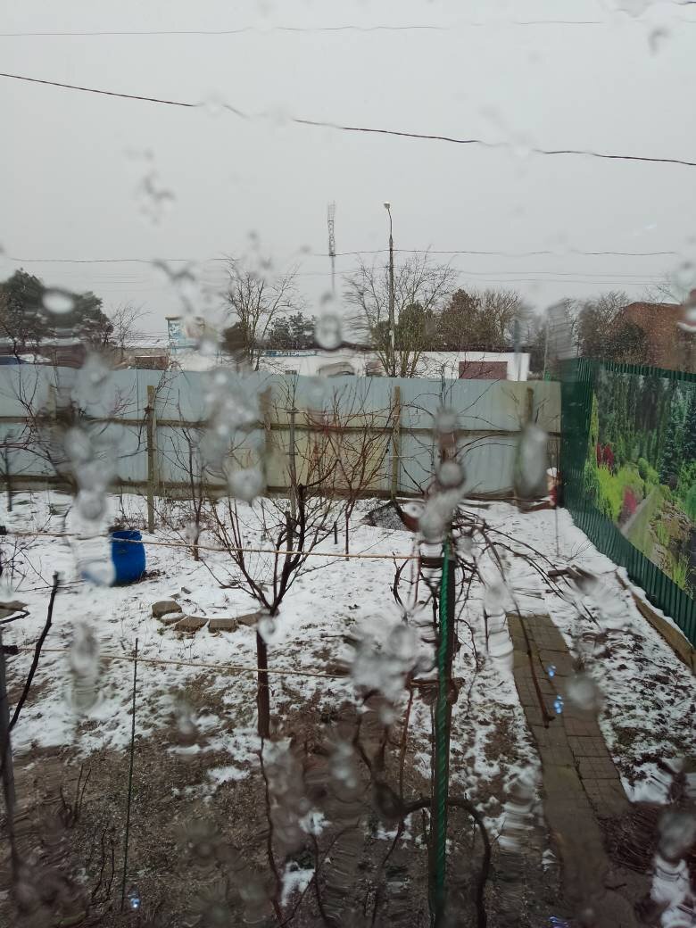 То ли снег, то ли дождь...