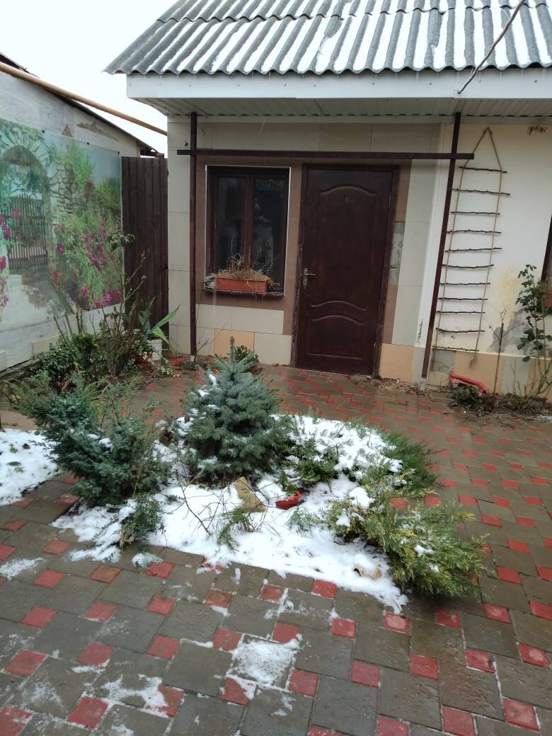 Пять минут назад