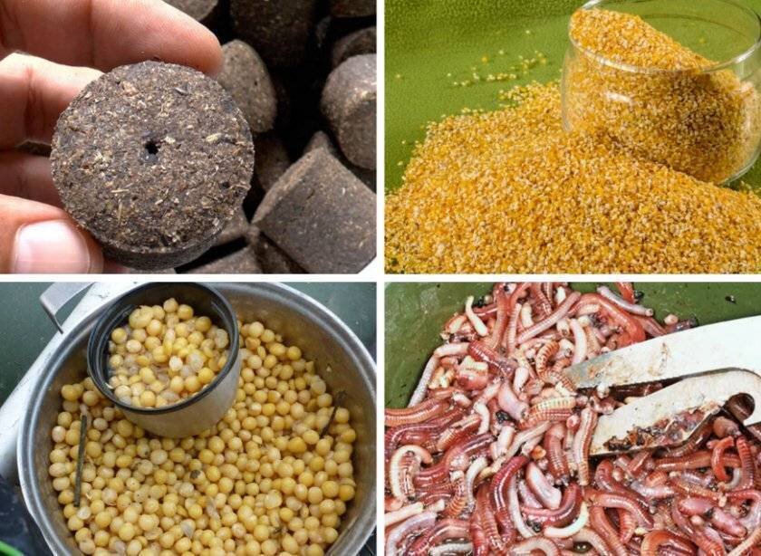 Приманка для рыбалки карася своими руками