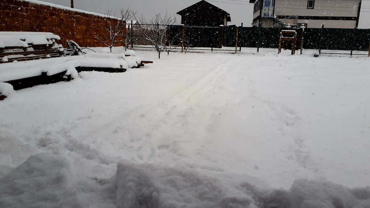 Крыльцо и дорожки засыпало.