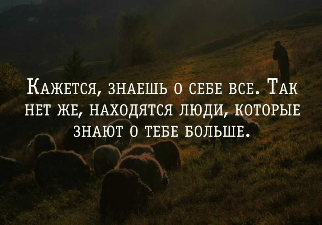 Не нашлось человека способного. Цитаты про людей которые много говорят. Знать себя цитаты. Не знаю цитаты. Цитаты люди которые все знают.