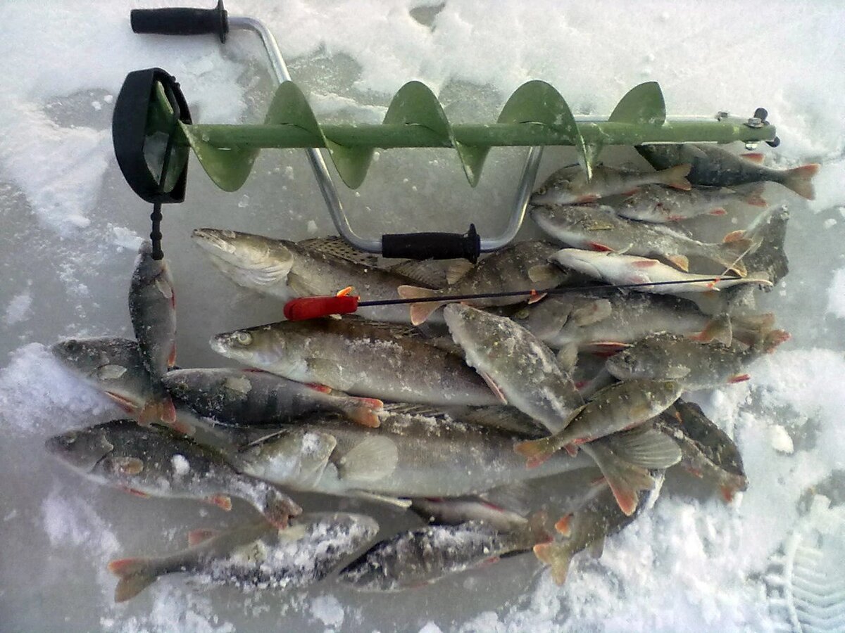 Нормальные снасти стали появляться уже после того, как в армии отслужил и работать пошел )))