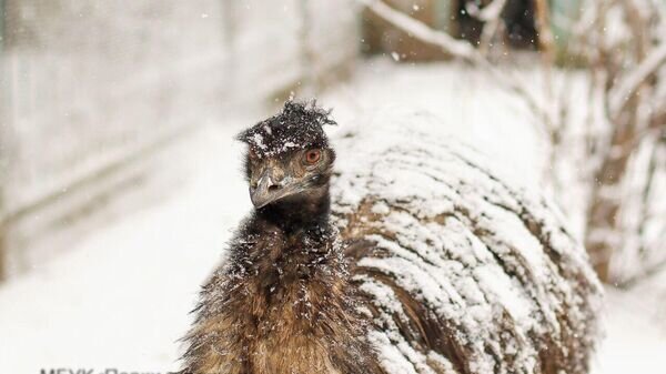    © Фото: Парки столицы