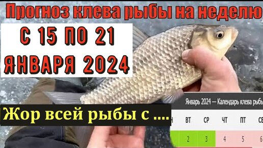 Календарь на август 2024 года клева рыбы