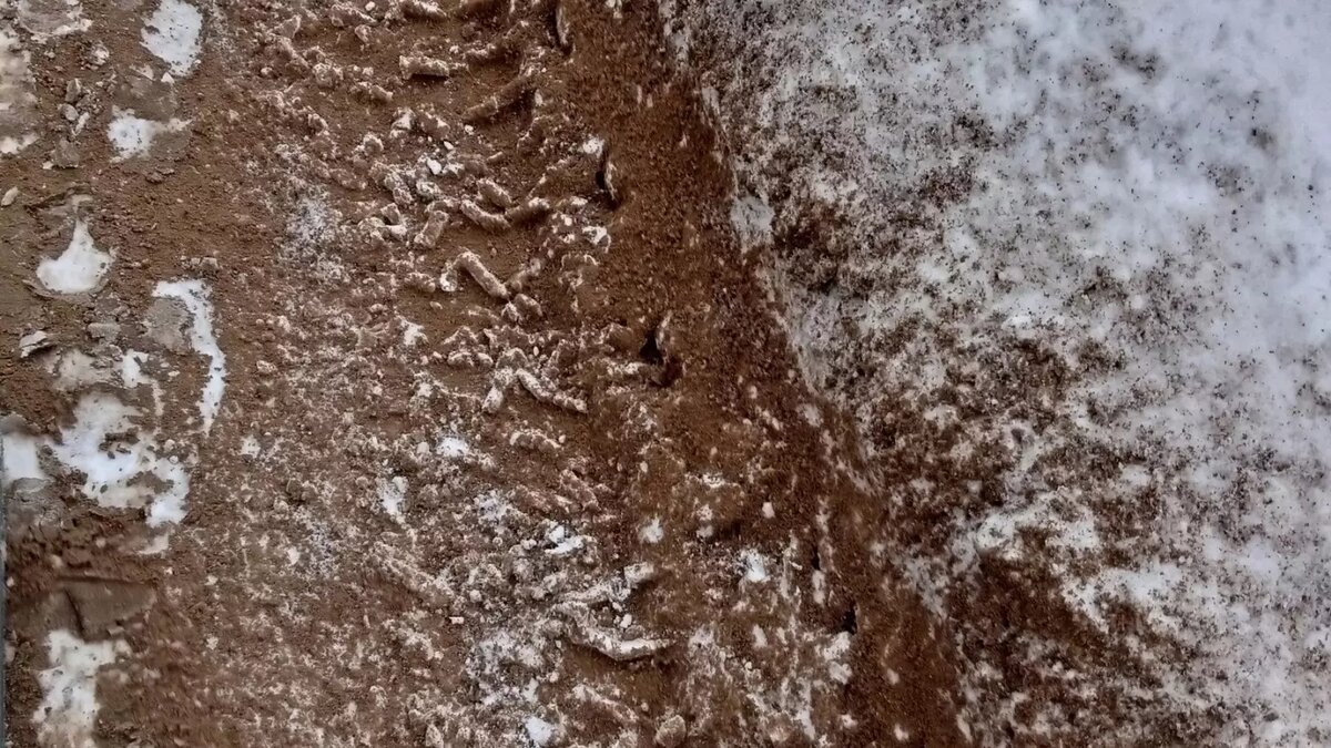     Об этом горожане пишут в социальных сетях.