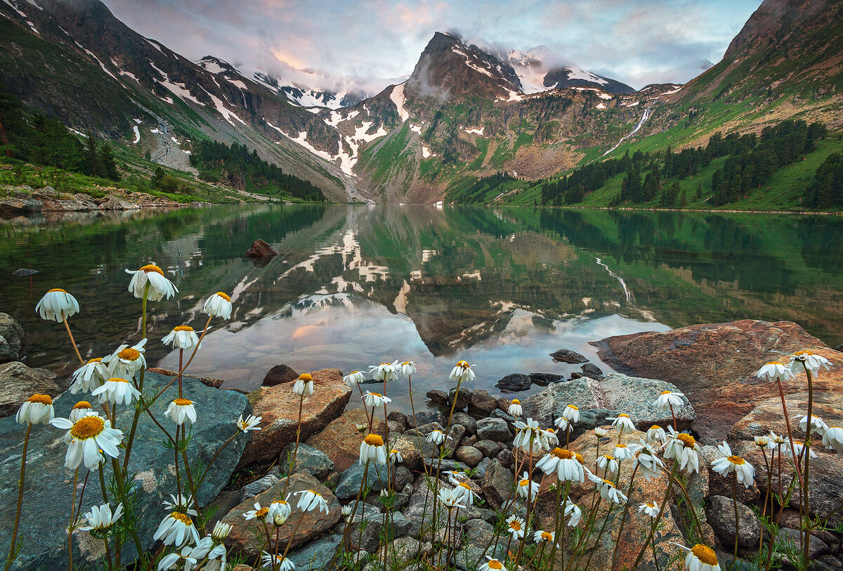 @ фото из интернета | ✨Алтай:🏔️ путешествие в сердце нетронутой природы России🌲🌍