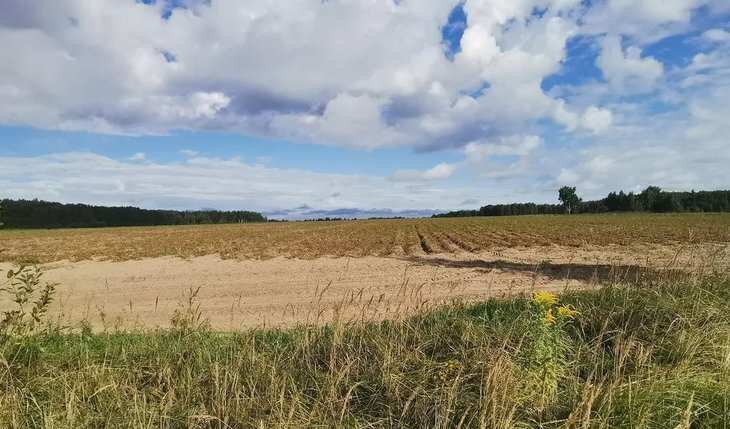    В Ивановской области за пять лет реализации нацпроекта создано 115 новых фермерских хозяйств