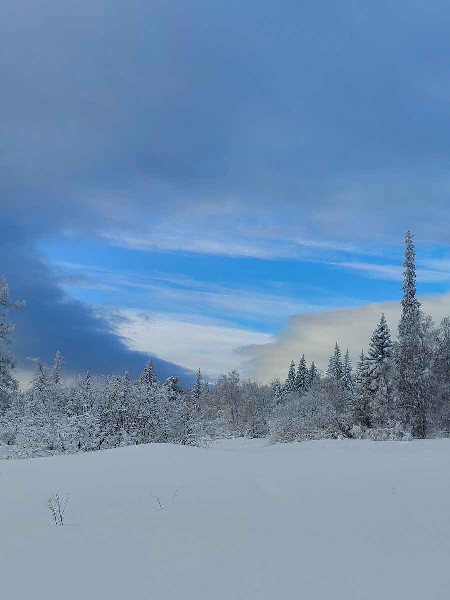 Личное фото. Экологическая тропа на хребет Зюраткуль, январь 2024