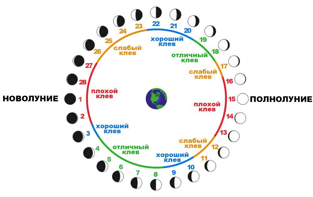 Фазы луны и как она влияет на клев
