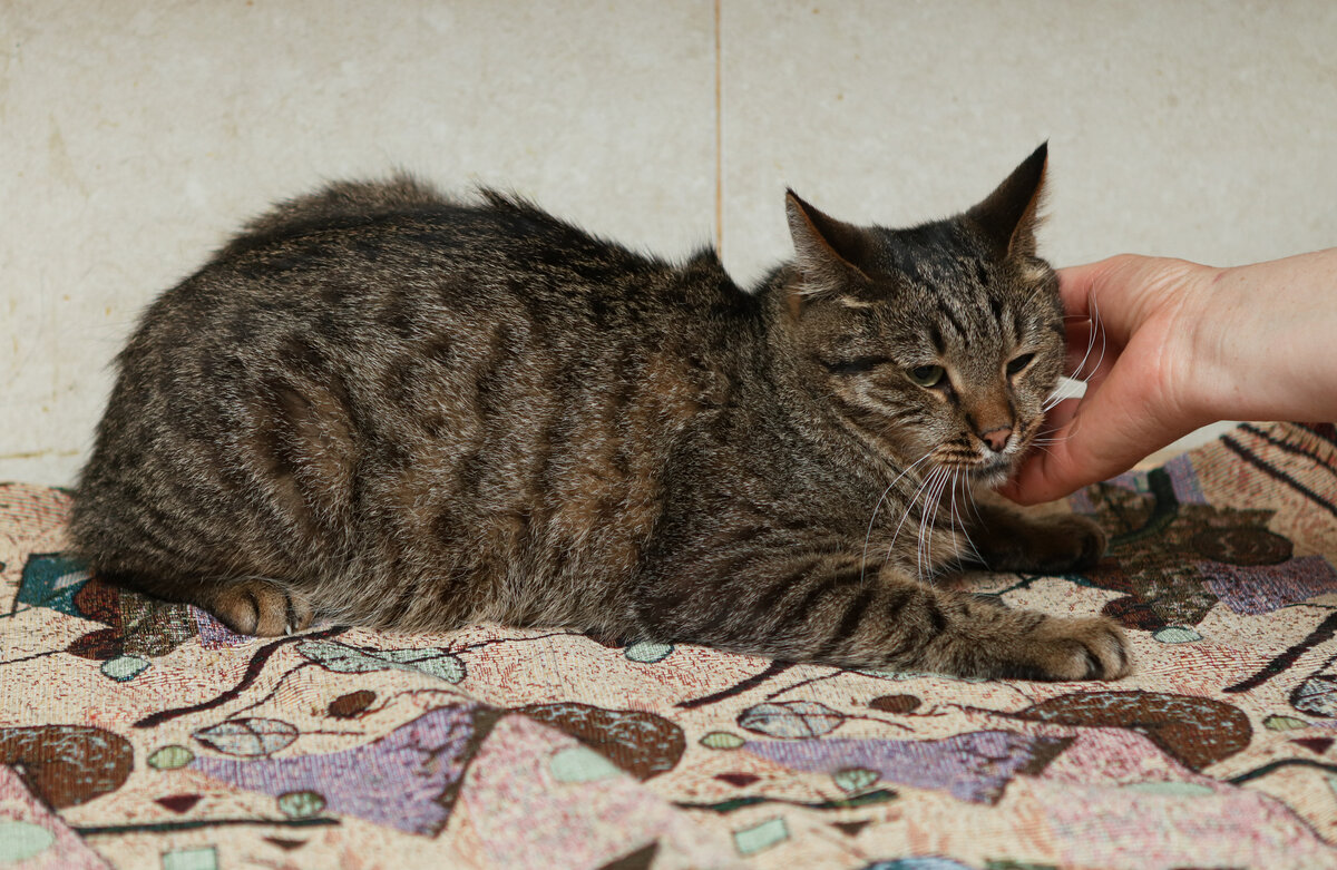 Но мы методично иногда приставали к Трофиму с лаской