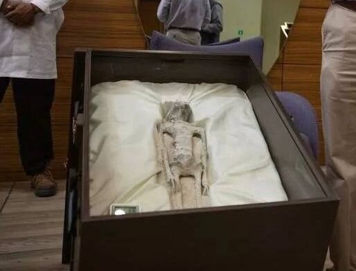    Кадр из видео