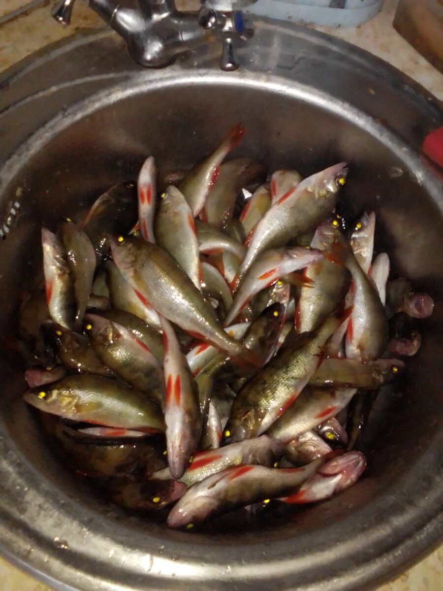 Озеро Окуньков садок