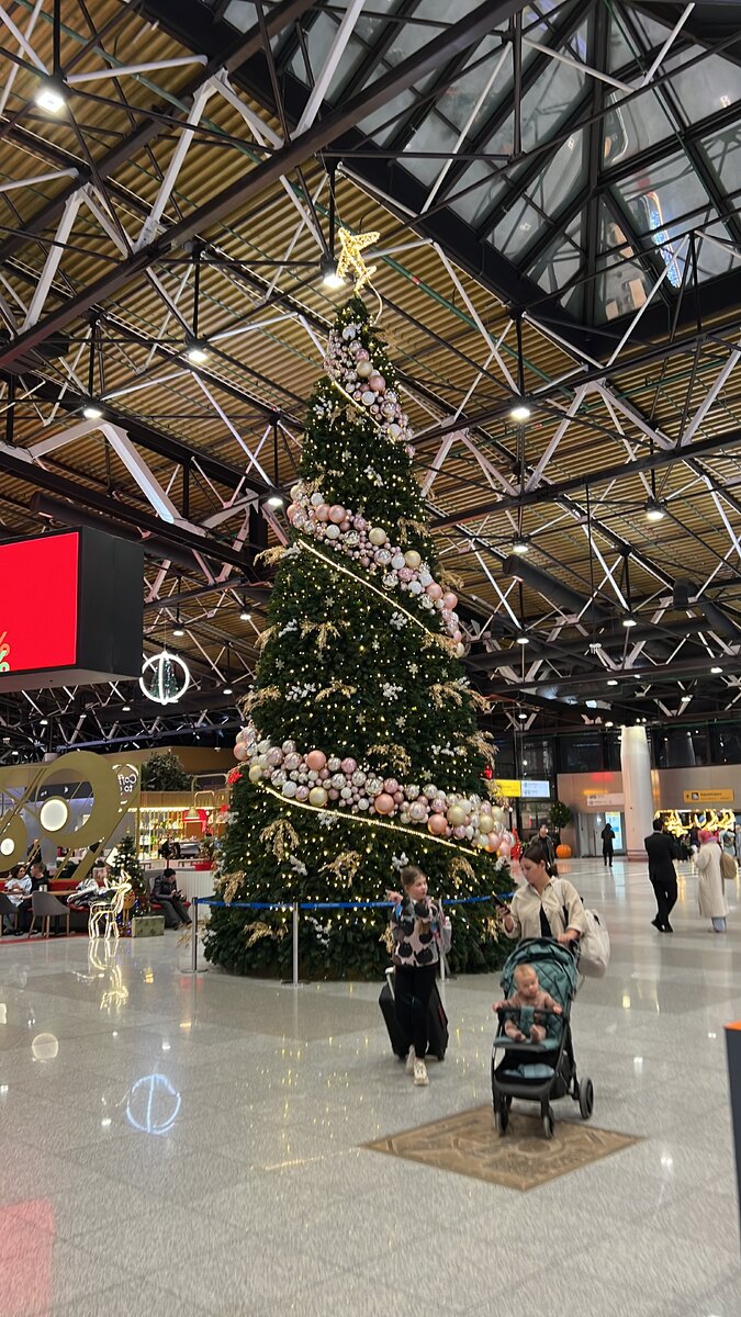 Шереметьево 