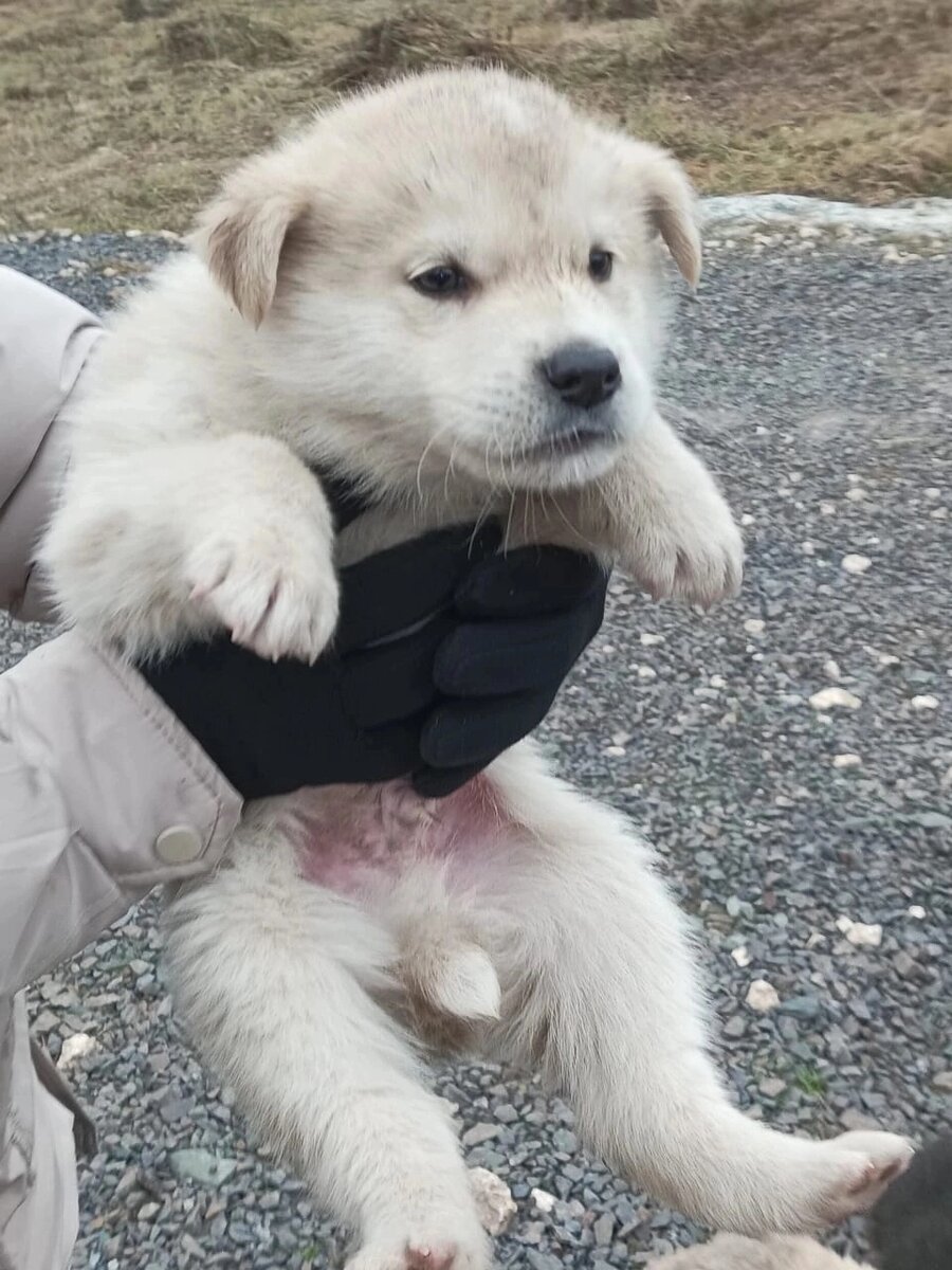 Новенькие, что ждёт их всех?