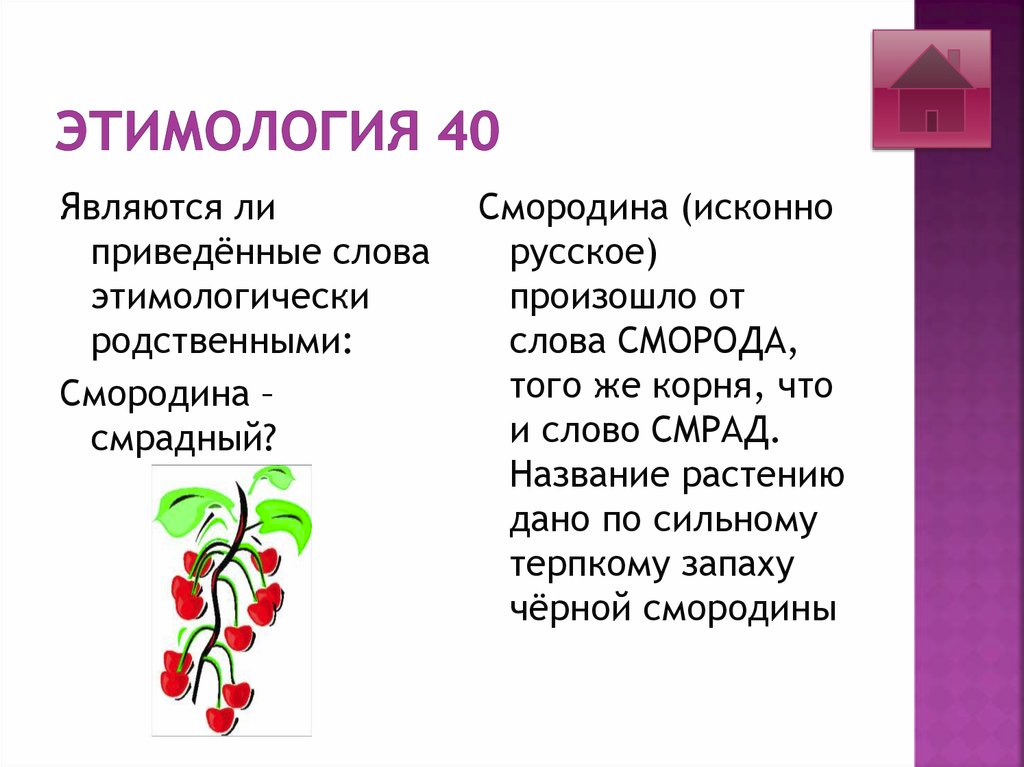 Этимологический состав слова. Смородина этимология слова. Этимология названий цветов. Этимологически слова. Смородина происхождение слова этимология.