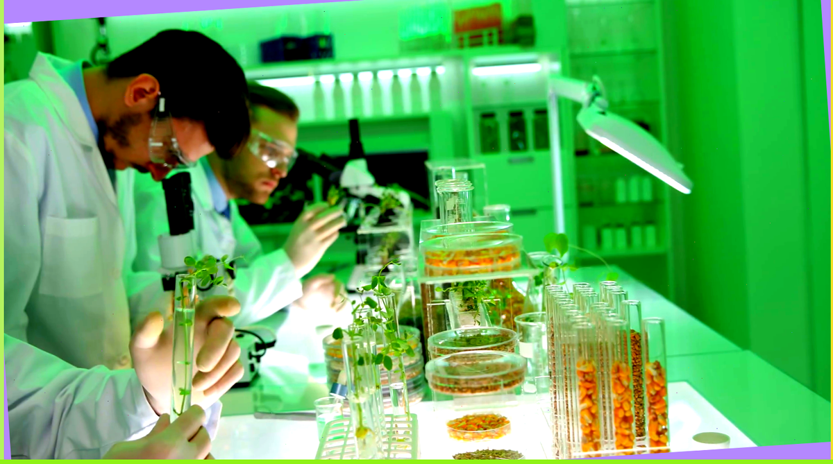 Генетика 2.0