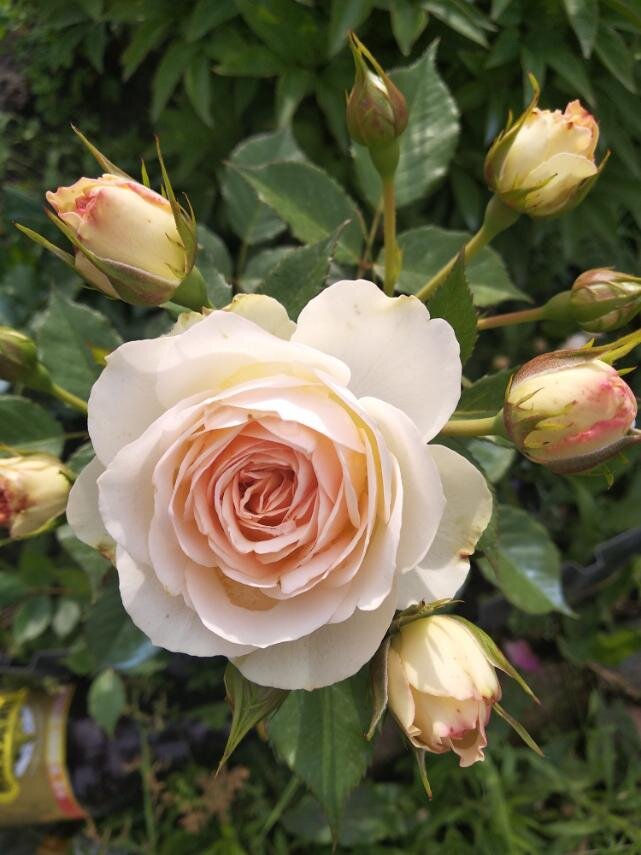 Фото для настроения 