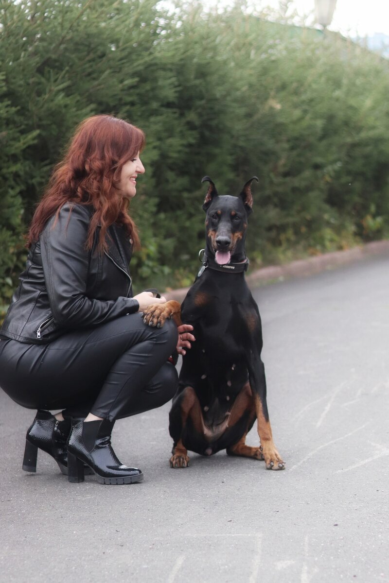 мужчина с большой собакой. собачка которая ходит на задних лапах. утренняя прогулка с собакой. за человеком ходят собаки. веселый человек с собакой.