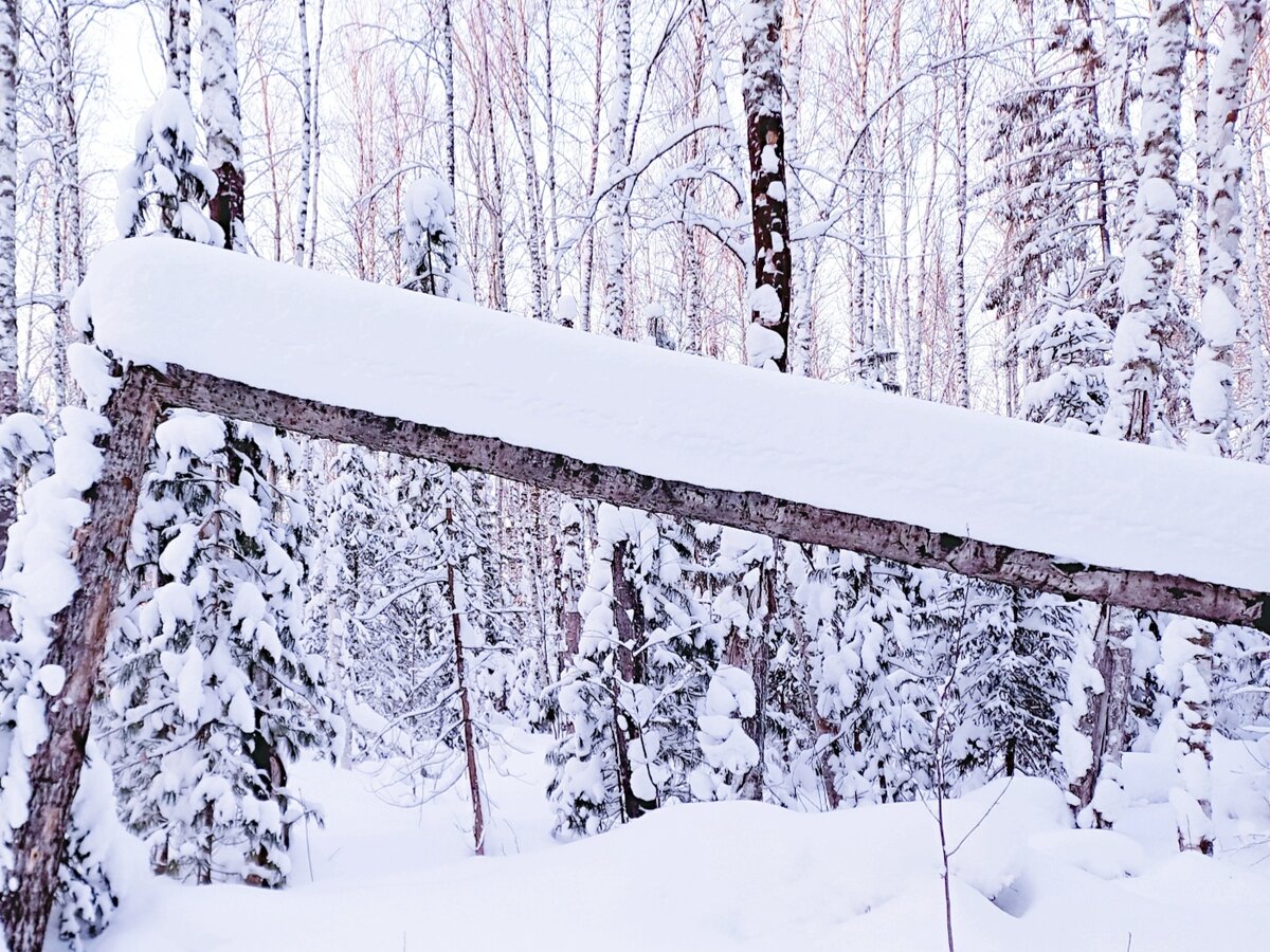 А вдруг это ваш вариант? Среди сотен Бабушкиных квадратов выбери свой ...