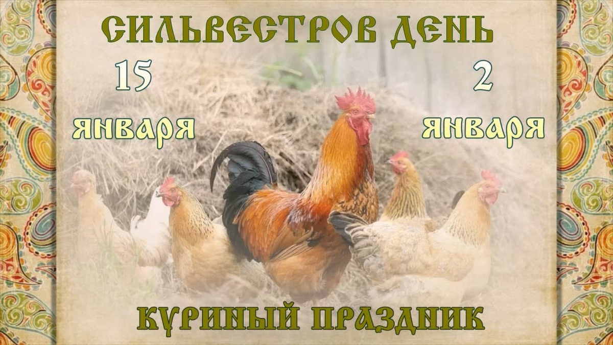 Приметы на 15 января: что можно и что категорически запрещается делать в  Сильвестров день | Изелин | Дзен