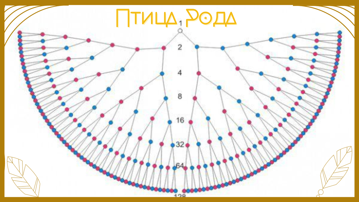 Птица рода схема на 7 поколений