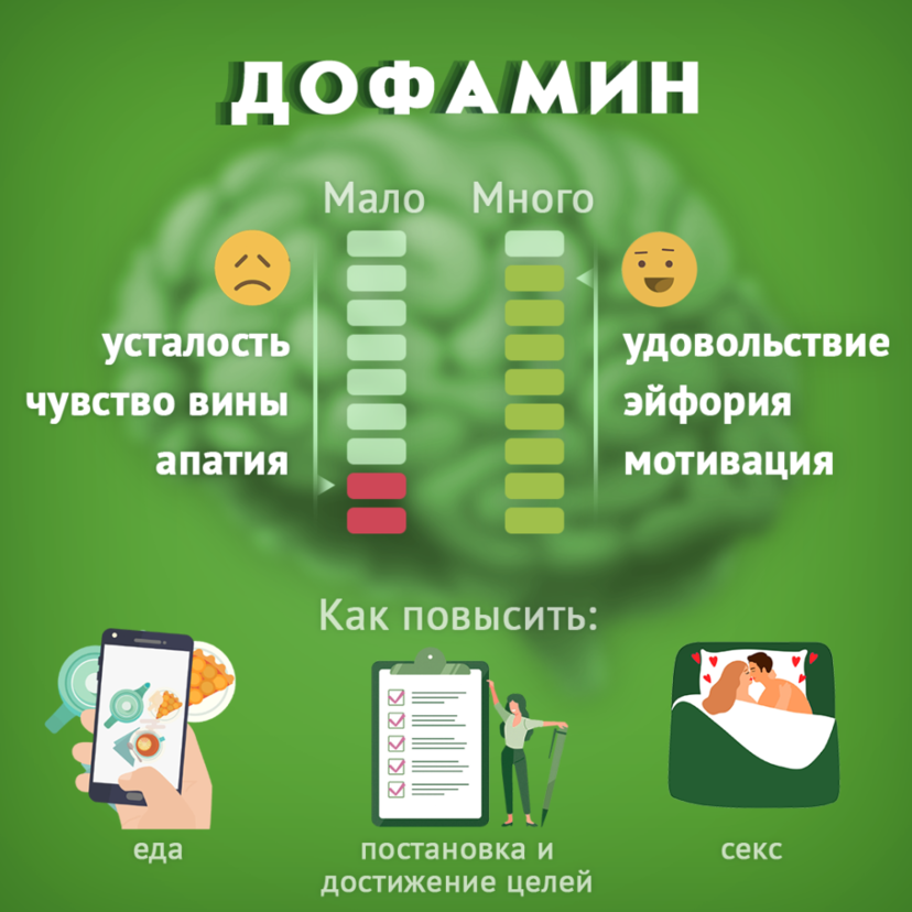 «Гормон счастья»: на что влияет серотонин и как он работает