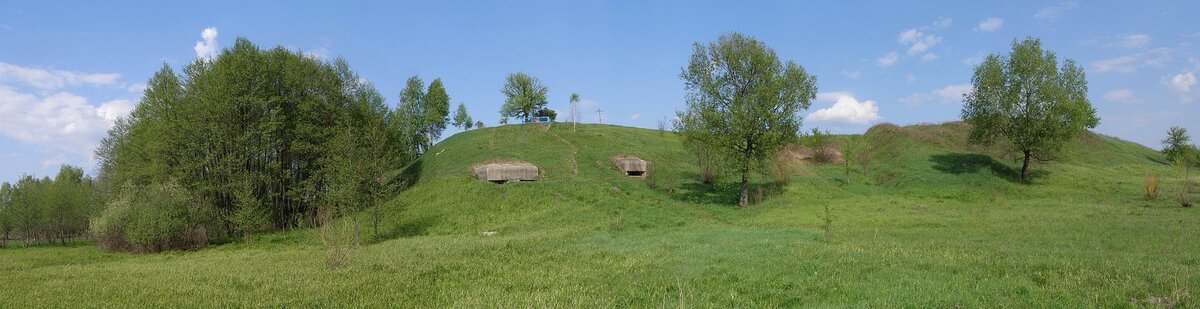 Общий вид ДОТа № 205 