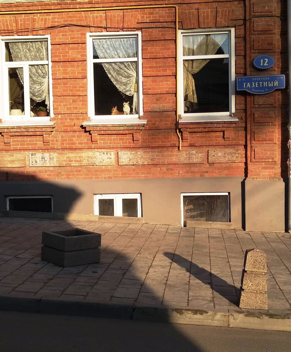 В городе Ростове-на-Дону есть переулок Газетный. Фото 2019 года.