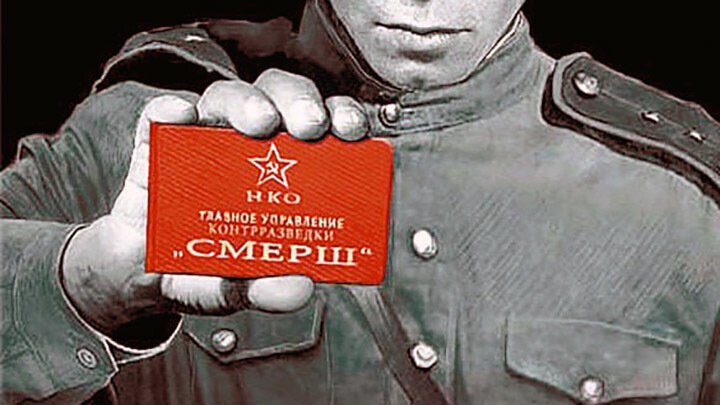 Фото: AlphaSpecnaz/Twitter.com/Globallookpress.com