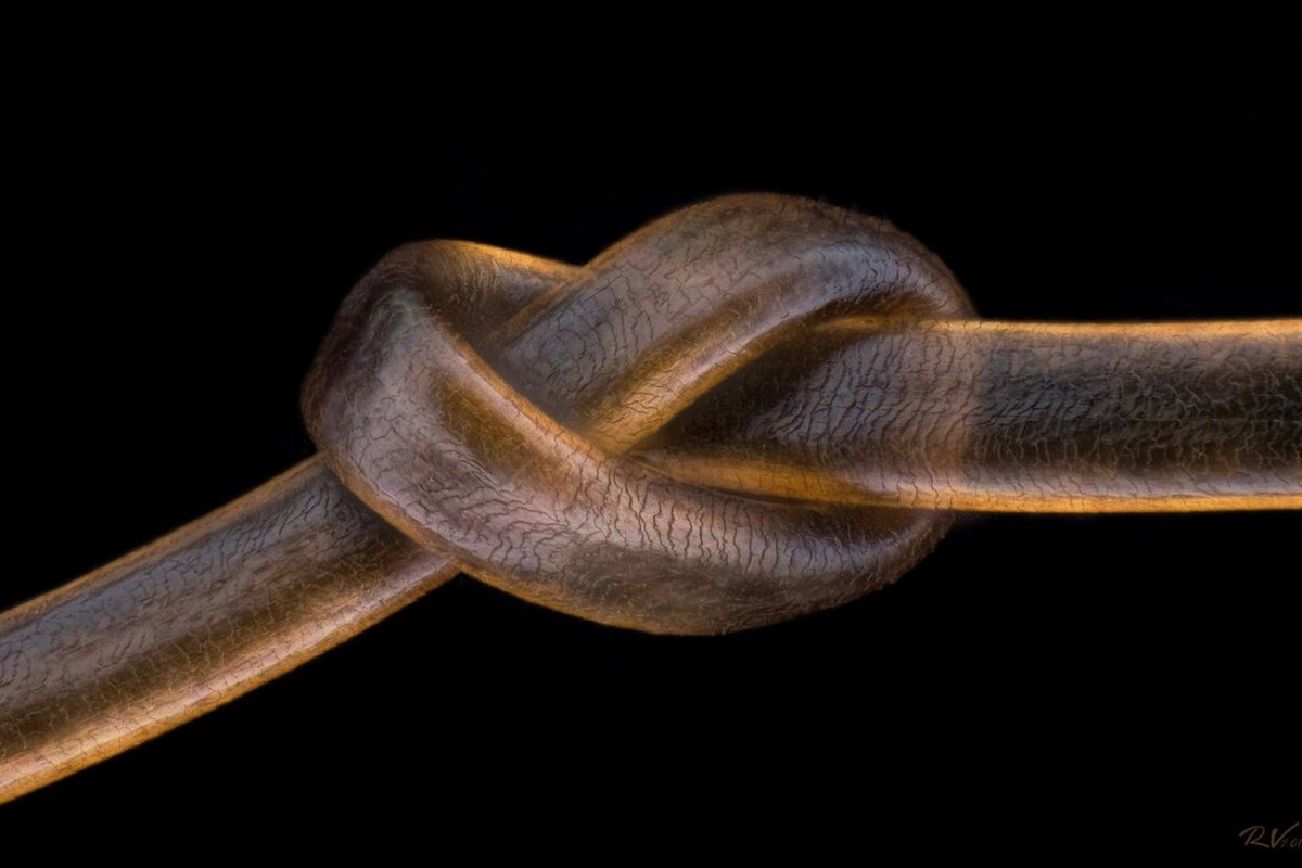 Источник Яндекс картинки. 