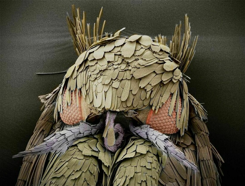 Источник Яндекс картинки. 