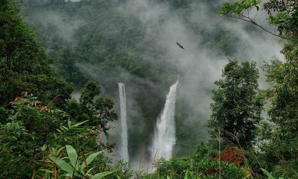    Кажется, джунгли Амазонки таят в себе огромное количество секретов