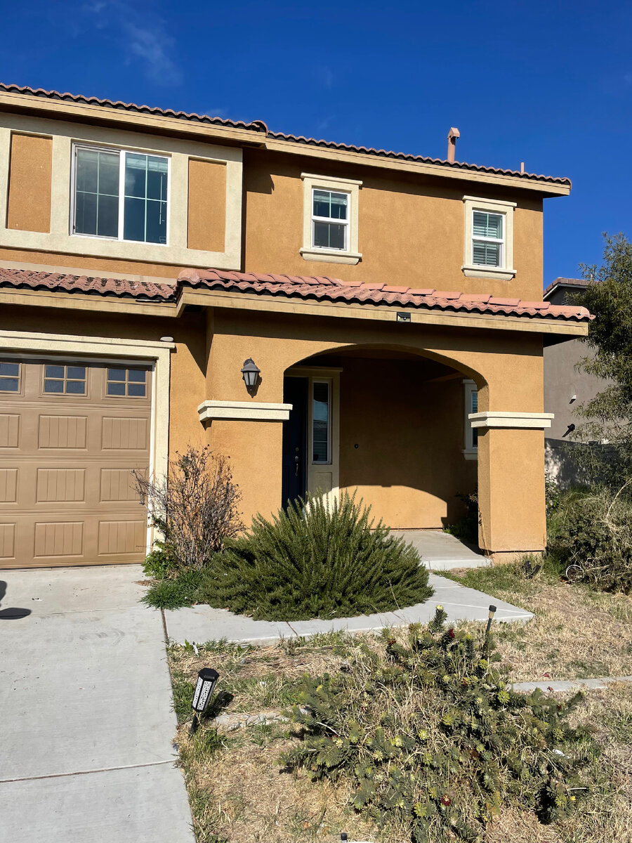 Розмарин неухоженный. Вот закончу учёбу на акупунктуриста и приведу в порядок всё на свете🤣