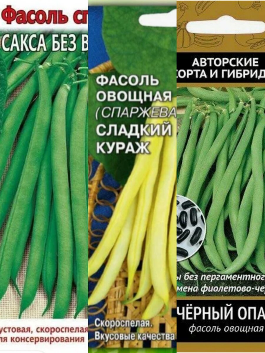 Семена Фасоль спаржевая Сонеста (5 гр.) купить в Москве по низкой цене - интернет-магазин Гаршинка