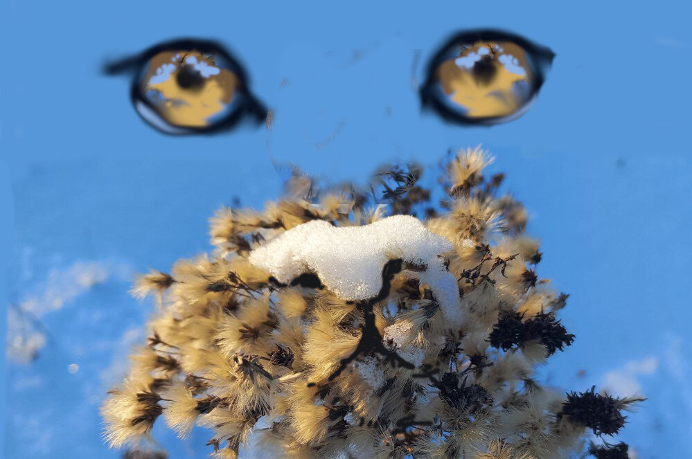 Видите снежного барса?