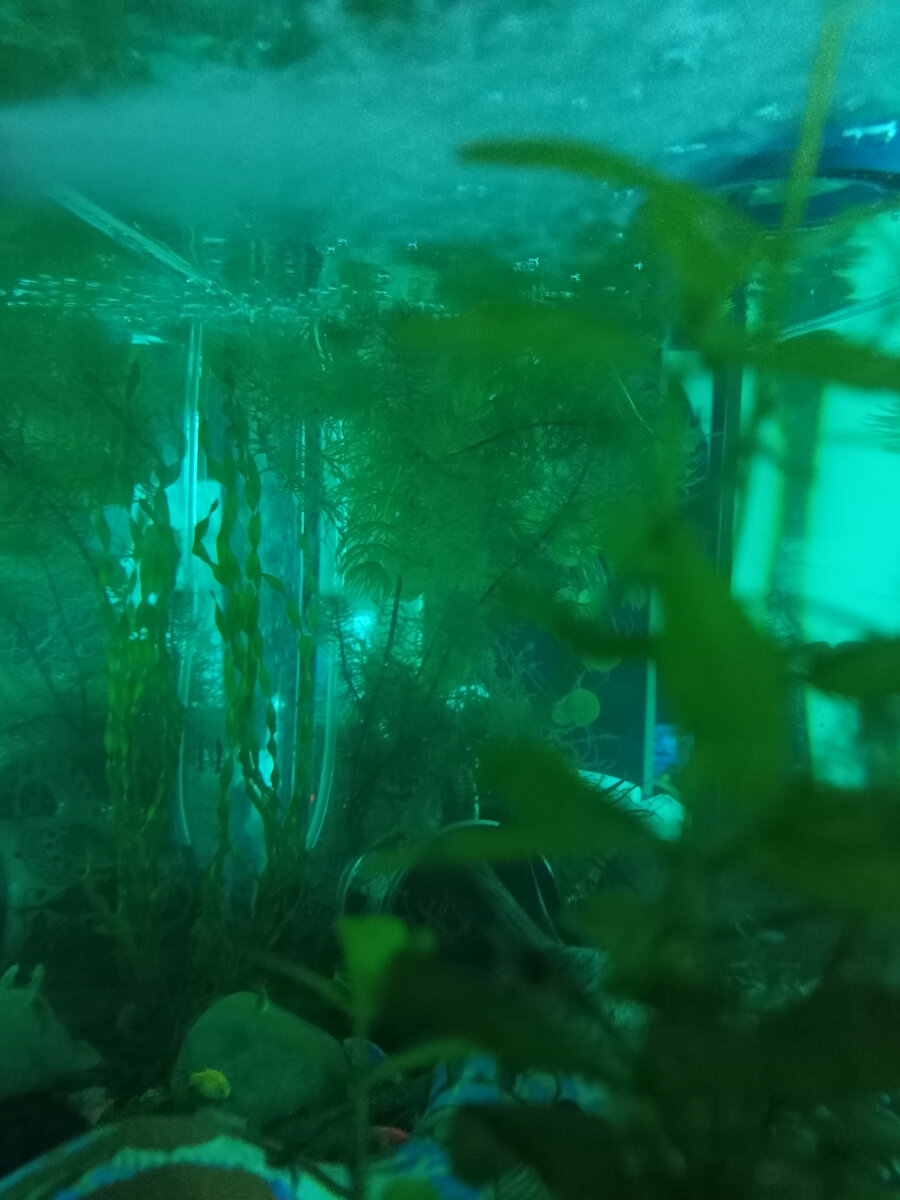 Красиво с синькой.