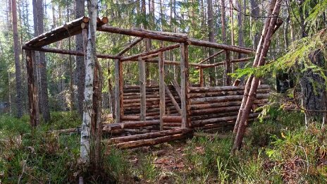 Строим хижину из валежника