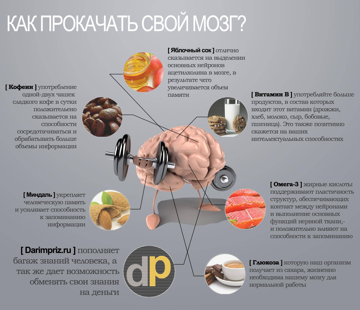 Как повысить работоспособность мозга и запоминание новой информации? | О  здоровье: с медицинского на русский | Дзен