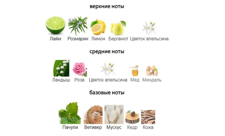 fragrantica.ru
