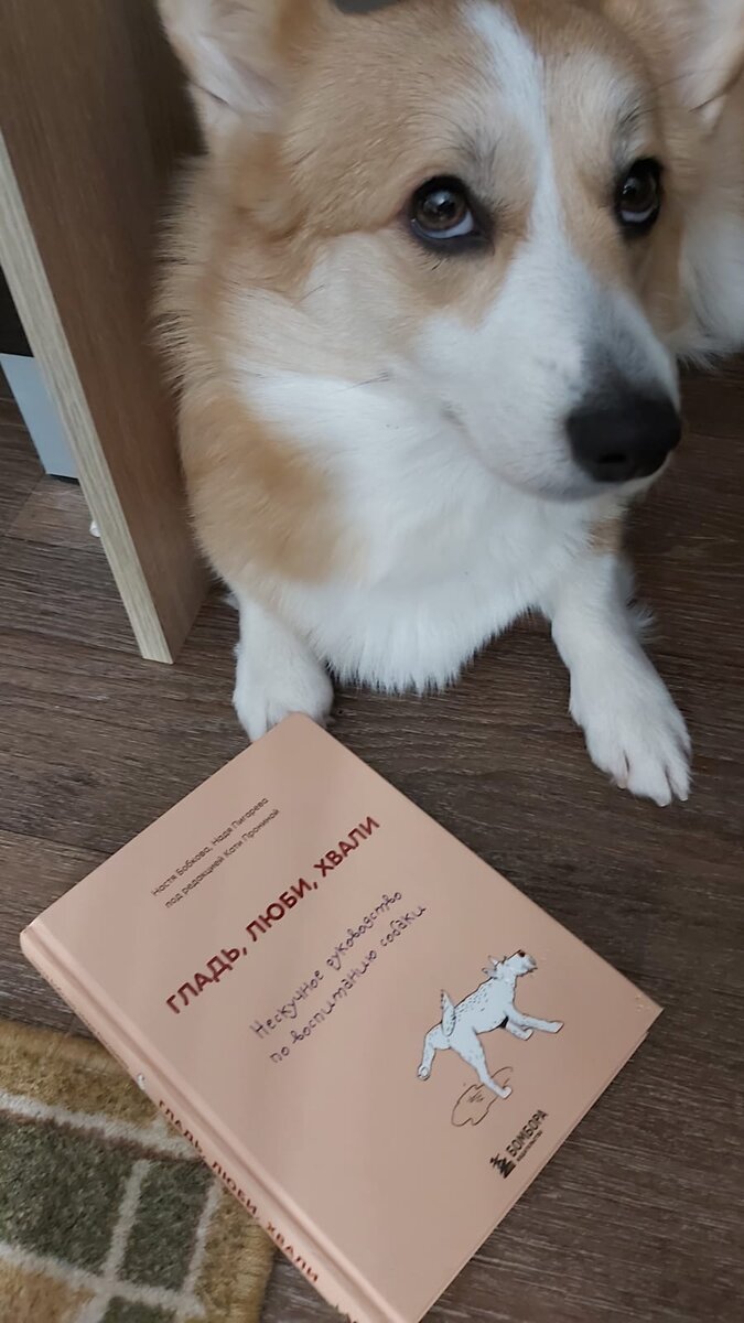 Литература