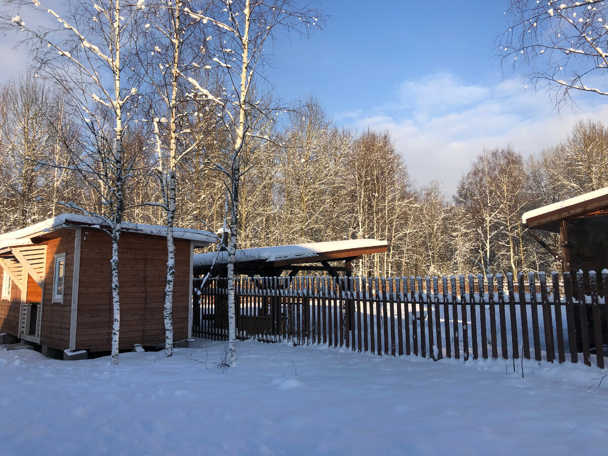 Наш загородный участок. (Фото автора статьи).