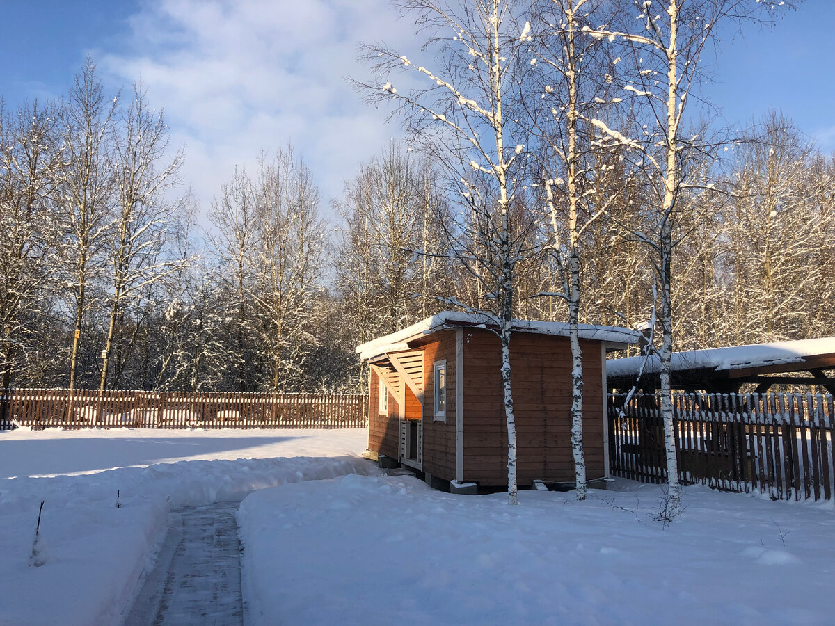 Наш загородный участок. (Фото автора статьи).