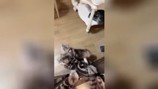Смешон или смешен как правильно