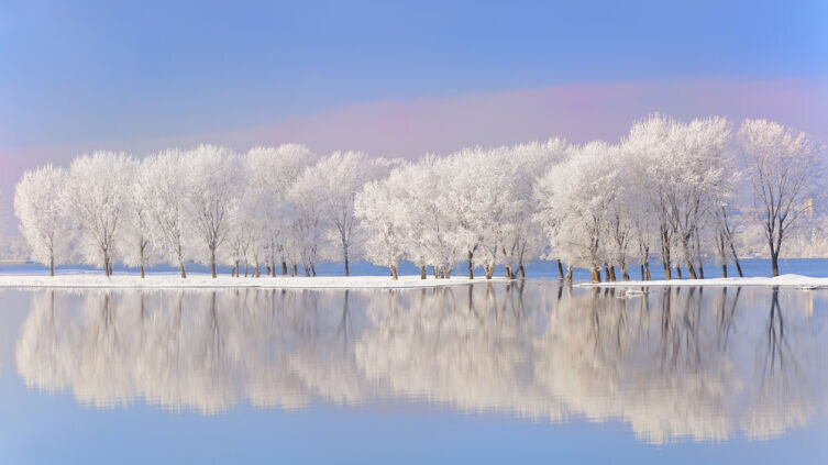    Зимняя природа: как возникает изморозь? Фото: Depositphotos