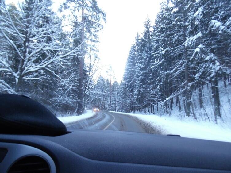 Фото: Галя Константинова, личный архив  📷
