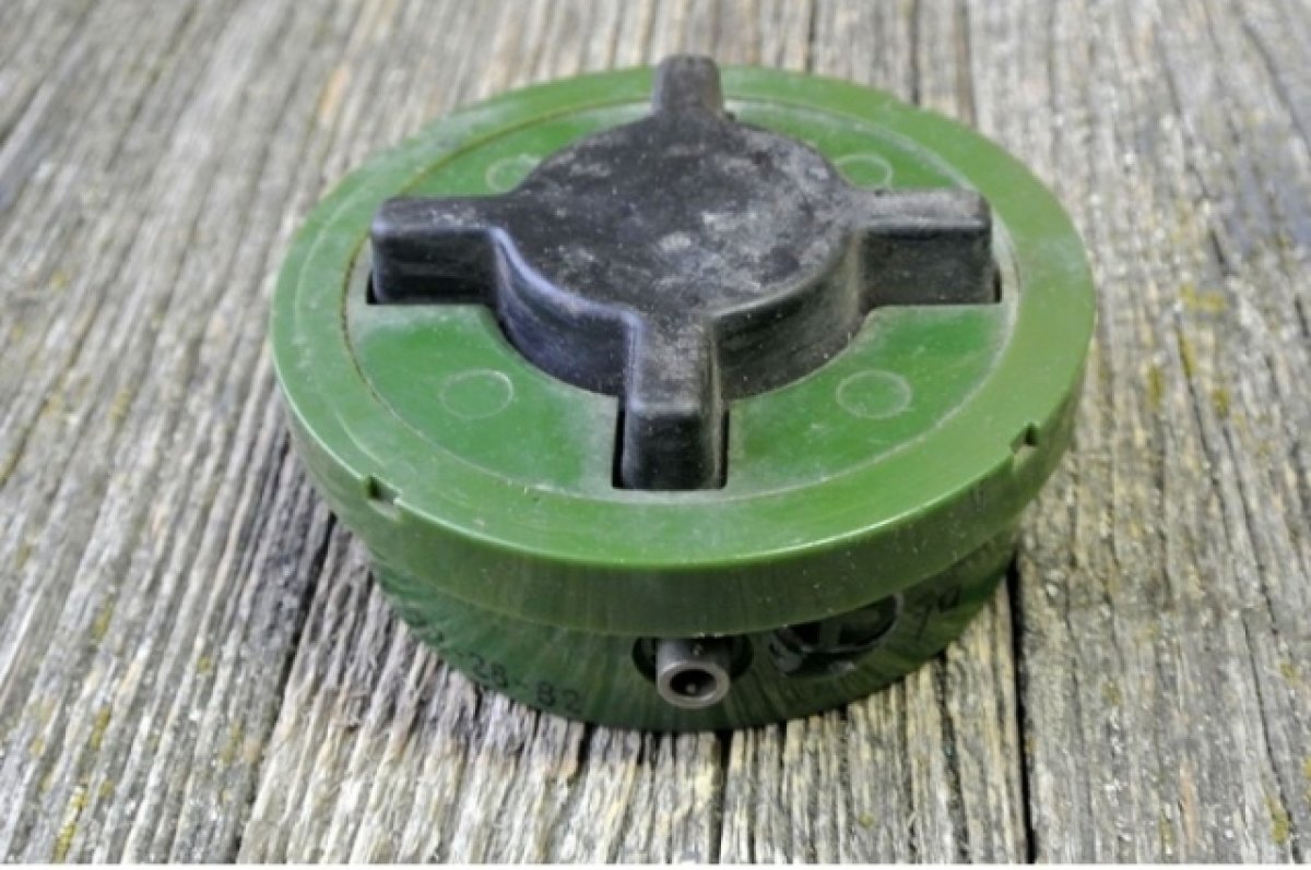    Камчатцы нашли на мысе Вертикальном мину и сами повезли ее в город